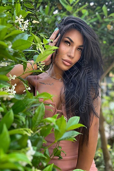 Foto Mandy Asiatica  Annunci Transescort Como
